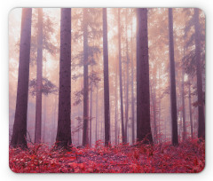Trees Foggy Sunlight Mouse Pad