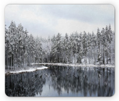 Trees in Cold Day Lake Mouse Pad