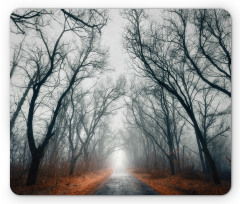 Autumn Sky and Leaves Mouse Pad