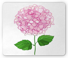 Hand Drawn Pink Petals Mouse Pad