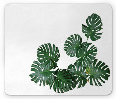 Monstera Deliciosa Mouse Pad