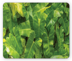 Photo of Tropic Botany Mouse Pad