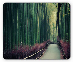 Bamboo Grove in Arashiyama Mouse Pad