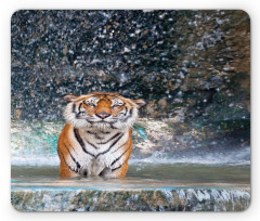 Exotic Wildlife Nature Mouse Pad