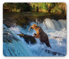 Alaska Waterfall Wildlfie Mouse Pad