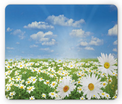 Daisy Spring Meadow Mouse Pad