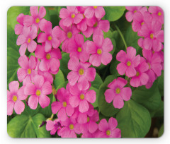 Pinkish Flower and Leaves Mouse Pad