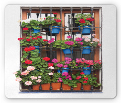 Flower Pots on Old Window Mouse Pad