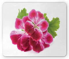 Single Flower Close Up Mouse Pad