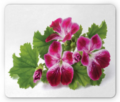 Real Photo of Flowers Mouse Pad