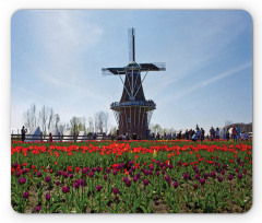 Windmill Photo on Tulip Field Mouse Pad