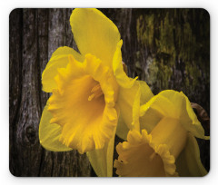 Image of Trumpet Daffodil Mouse Pad