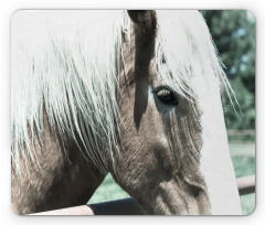 Draft Horse from Netherlands Mouse Pad