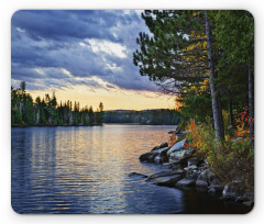 Real Life Forest Photo Mouse Pad