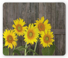 Helianthus Sunflowers Mouse Pad