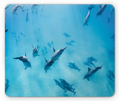 Dolphins Hawaii Ocean Mouse Pad