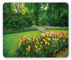 Garden with Tulips Trees Mouse Pad