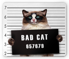 Jail Kitty Under Arrest Mouse Pad