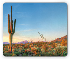 Sun in Desert Cactus Mouse Pad