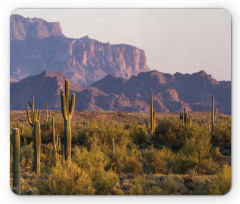 Cactus Mountain in Spring Mouse Pad