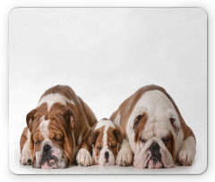 Image of 3 Generations Dogs Mouse Pad