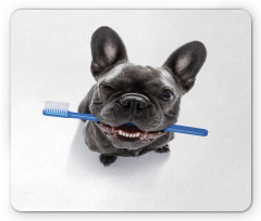 Funny Dog with Toothbrush Mouse Pad