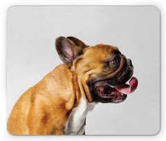 Young Pet Posing Side Shot Mouse Pad