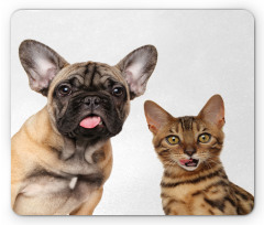 Cat and Dog Shocked Staring Mouse Pad