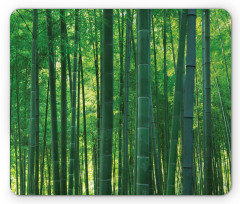 Green Wild Exotic Bamboo Mouse Pad