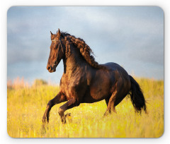 Meadow Mystery Horse Mouse Pad