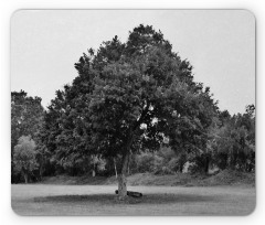 Leafy Big Tree Vintage Mouse Pad