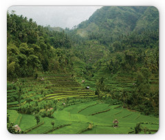 Rice Paddies Mouse Pad