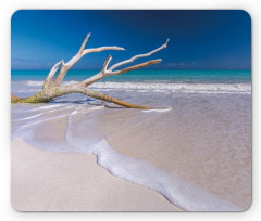 Algae Covered Tree Branch Mouse Pad