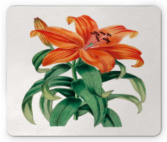 Thunberg's Lily Art Mouse Pad