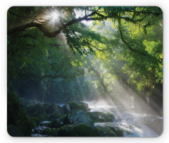 Jungle Sunlight Trees Mouse Pad