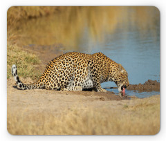 Leopard in Safari Mouse Pad