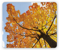 Maple Leaves Fall Autumn Mouse Pad
