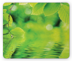 Leaves and River Peace Mouse Pad