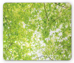 Nature Summertime Green Mouse Pad