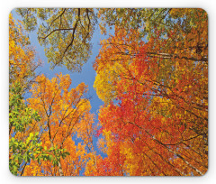 Forest in Autumn Mouse Pad