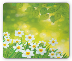 Daffodils Spring Petals Mouse Pad