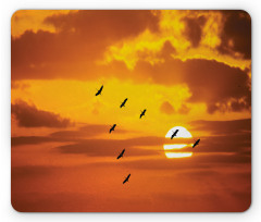 Birds Flying at Sunset Mouse Pad