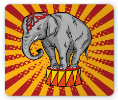 Show Animal Elephant Pop Art Mouse Pad