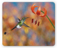 Racket Tail Lily Nectar Mouse Pad