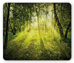 Scenic Morning in Nature Mouse Pad