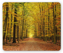 Pathway into the Forest Mouse Pad