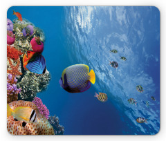 Underwater Fish Sea Mouse Pad