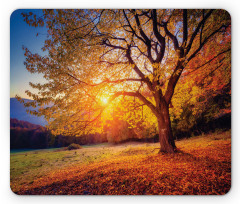 Autumn Fall Tree Leaves Mouse Pad