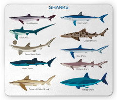 Cartoon Shark Types Wild Mouse Pad