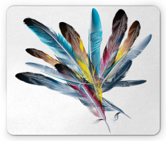 Colorful Feathers Old Pen Mouse Pad